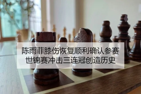 陈雨菲膝伤恢复顺利确认参赛 世锦赛冲击三连冠创造历史